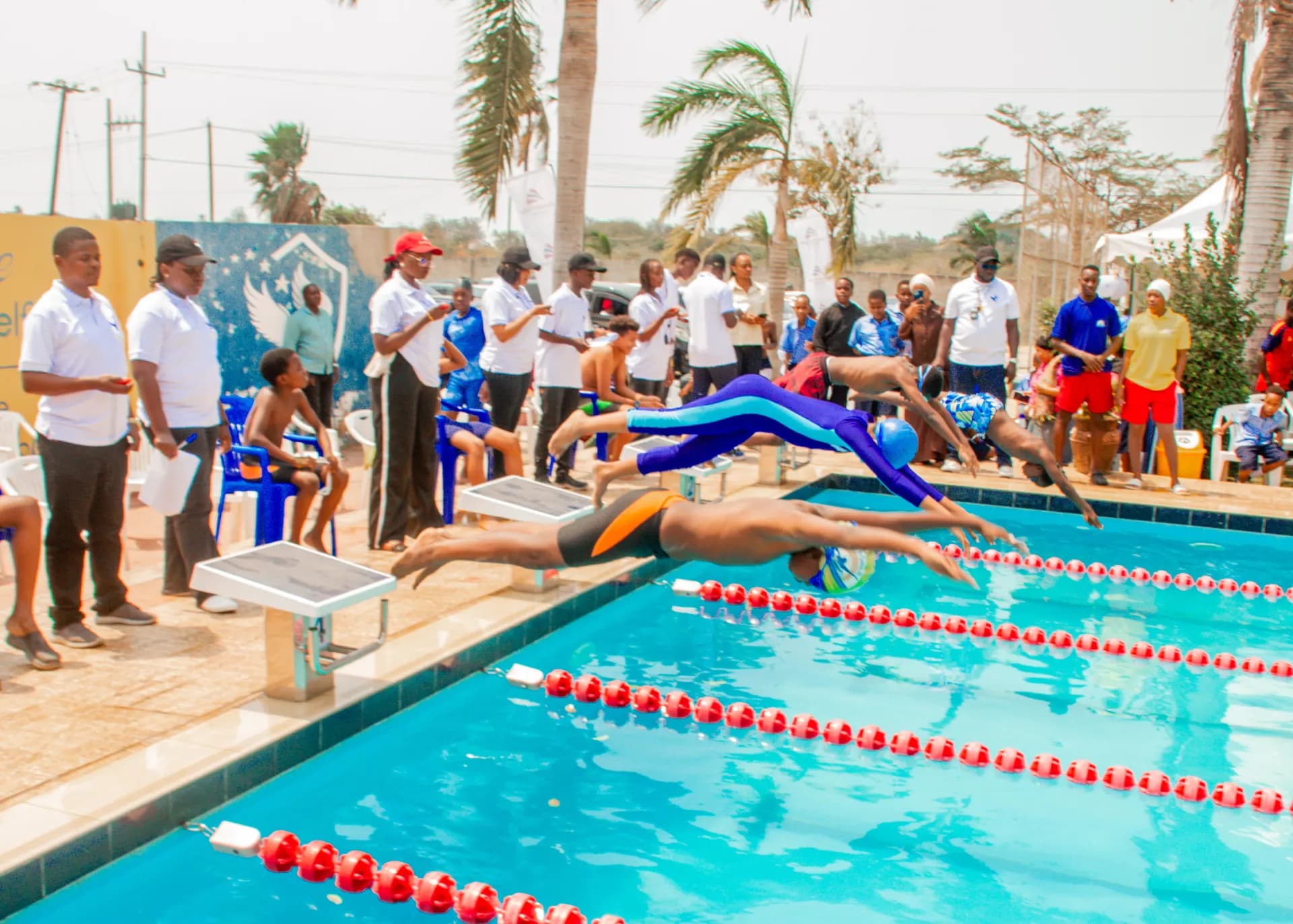 Swimmers dive in at the start of a race.